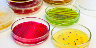 Solicitud de Agitador de incubadora in Microbiología y Cultivo Celular